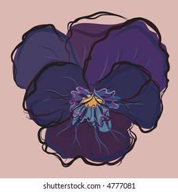 Vector drawing of pansies.