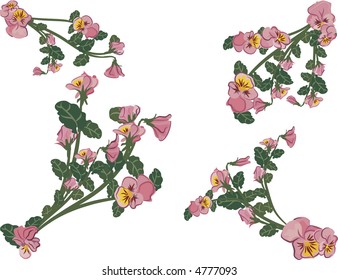 Vector drawing of pansies.