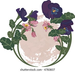 Vector drawing of pansies. No Gradients