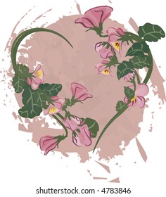 Vector drawing of pansies. No Gradients