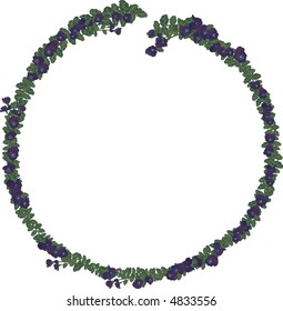 Vector drawing of pansy frame. No Gradients
