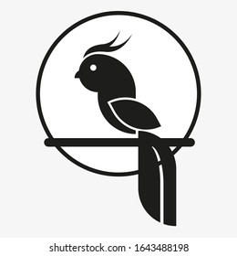 Vector drawing parrot, silhouette color black flat style
