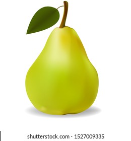 Vector drawing of a pear. Yellow pear with green leaf and shadow. For decoration, background, Wallpaper.