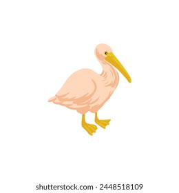 vector drawing pelican, wild bird isolated at white background, hand drawn illustration