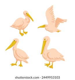 vector drawing pelicans, wild birds isolated at white background, hand drawn illustration