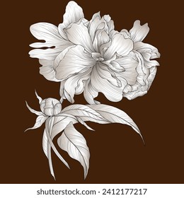 Vector drawing. Peony - flowers, buds and leaves on a gray background. Graphics. Use printed materials, signboards, posters, postcards, packaging.