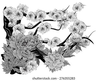 Vector drawing peony pattern  white and black for background and text