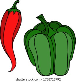 Vector drawing pepper. Nature. Sketch, illustration. decorative