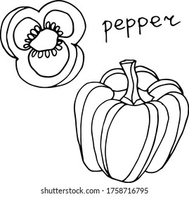 Vector drawing pepper. Nature. Sketch, illustration. decorative