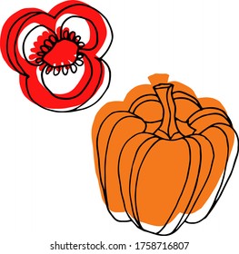 Vector drawing pepper. Nature. Sketch, illustration. decorative