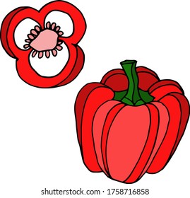 Vector drawing pepper. Nature. Sketch, illustration. decorative