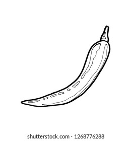 
Vector drawing pepper spicy kitchen food