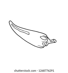 
Vector drawing pepper spicy kitchen food