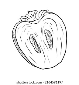 VECTOR DRAWING OF PERSIMMON SLICES ON A WHITE BACKGROUND