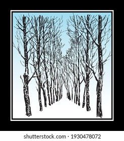 Vector drawing of perspective walkway in the alley of trees in city park in picture frame