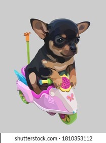 Vector drawing of a pet dog black and brown Chihuahua riding a pink motorcycle isolated on a gray background.Puppy with a toy.