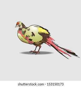 Vector drawing of a pheasant