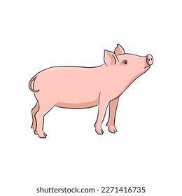 vector drawing pig, sketch of domestic animal, hand drawn illuastration , isolated nature design element