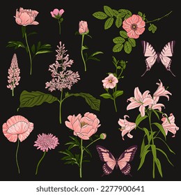 vector drawing pink butterflies   flowers  peonies  lilac lilies   wild rose  floral background  hand drawn natural illustration