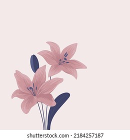 Vector drawing of a pink lily for graphic design, wallpapers or postcards. 
