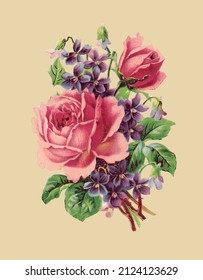 Vector drawing of a pink rose in vintage style 