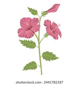 vector drawing plant of hibiscus with red flowers and green leaves isolated at white background, hand drawn illustration