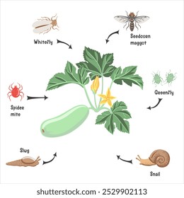 vector drawing plant of zucchini with green leaves and yellow flowers and pests, vegetable and insects in soil ground, hand drawn illustration