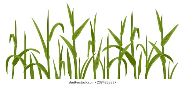 vector drawing plants, green blades of grass, floral elements, hand drawn illustration