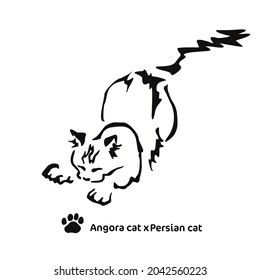 Vector drawing of a playing cat. Mix of Angora cat with Persian cat. Gestalt animal design