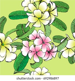 Vector drawing plumeria seamless background.