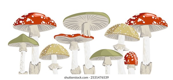 vector drawing poisonus mushrooms, hand drawn botanical illustration