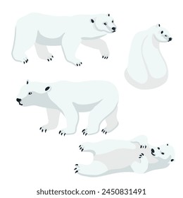 Vector dibujando osos polares, animales de dibujos animados aislados en el fondo blanco, ilustración dibujada a mano