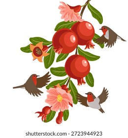 Vector que dibuja la rama del árbol de granada con las hojas, las flores y las frutas y los pájaros voladores, aislados en el fondo blanco, ilustración dibujada a mano