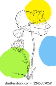 vector drawing poppy and daisy flowers with paint stains, floral composition, hand drawn illustration