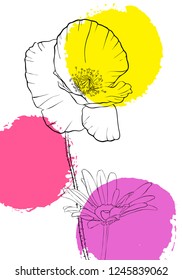 vector drawing poppy and daisy flowers with paint stains, floral composition, hand drawn illustration