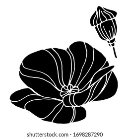 Dibujo vectorial de amapola. Flor de amapola decorativa