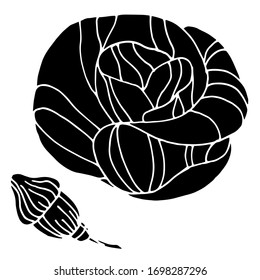 Dibujo vectorial de amapola. Flor de amapola decorativa