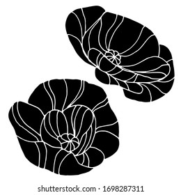 Dibujo vectorial de amapola. Flor de amapola decorativa