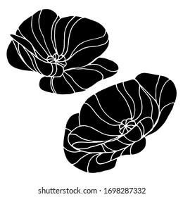Dibujo vectorial de amapola. Flor de amapola decorativa