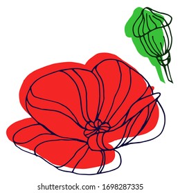 Dibujo vectorial de amapola. Flor de amapola decorativa