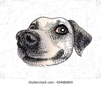 Vector drawing of portrait of a dog. The dog is man's best friend.