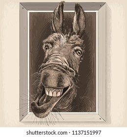 Vector drawing - portrait-cartoon of Crazy Donkey in a wooden frame hanging on a wall