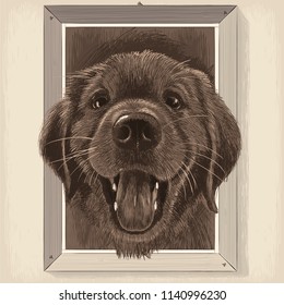 Vector drawing - portrait-cartoon of a Good Dog in a wooden frame hanging on a wall