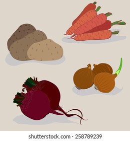 vector drawing of potatoes, carrots, onions, beets