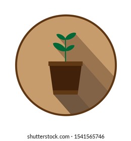 Vector drawing potted sprout, color colored flat style