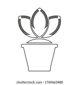 Vector drawing potted sprout, contour flat style