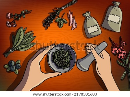 vector drawing preparing of herbal tea, hands with mortar and pestle and dried plants, top view, hand drawn illustration,cartoon style