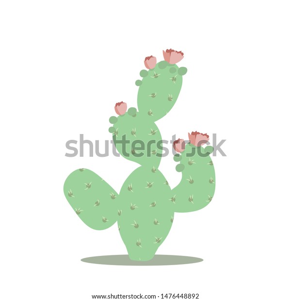 Vector Drawing Prickly Pear Cactus Stock Vector Royalty Free 1476448892