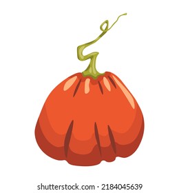 Vector drawing of a pumpkin. Autumn illustration. Pumpkin for Halloween and Thanksgiving. Organic autumn vegetables.