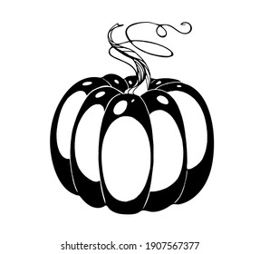 Vector drawing pumpkin, black and white graphics, pumpkin drawn with lines, zucchini, delicious healthy natural vegetable, hand-drawn, natural eco-product, farmer, vegetarianism, retro style.